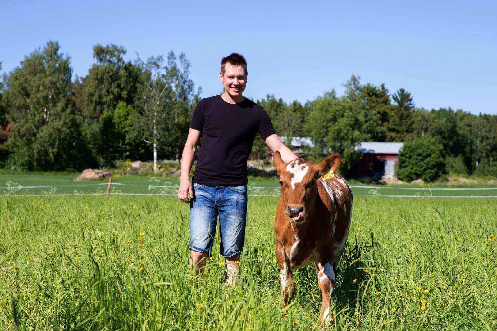 Niklas Östman med en kalv i hagen