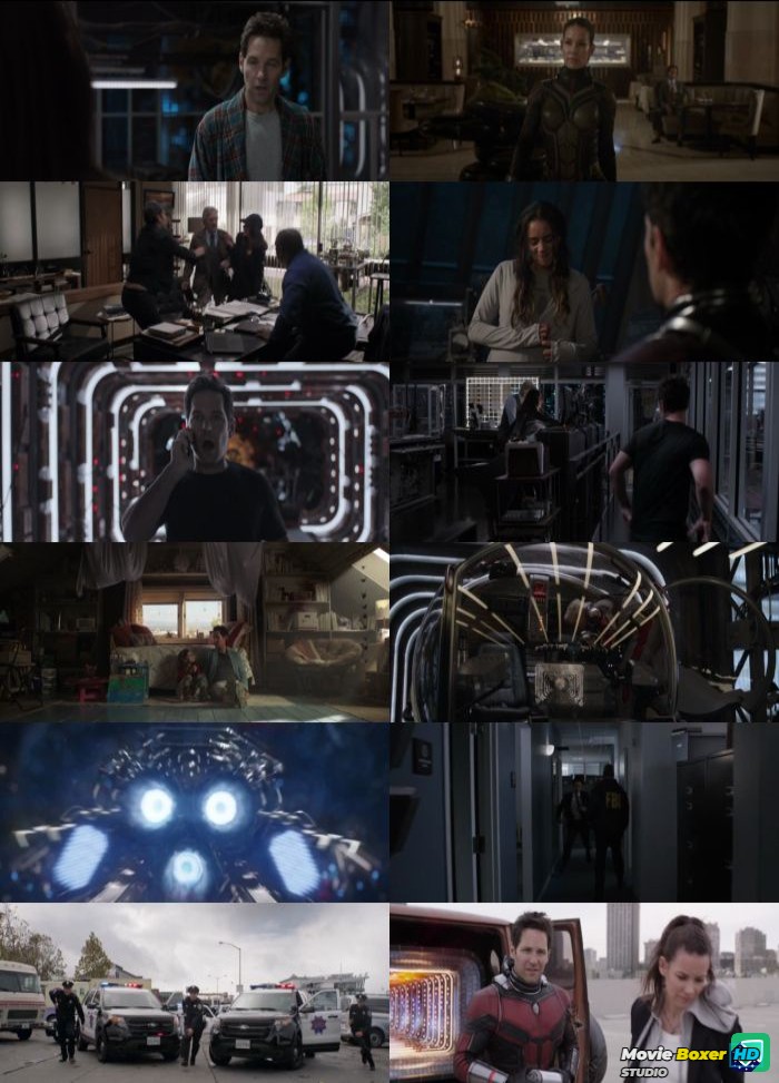 Screenshots Grid