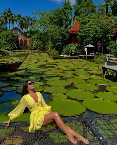 Приватный · SUNRISE ADVENTURE_ SAMET NANGSHE VIEWPOINT, JAMES BOND ISLAND, AIRPLANE BEACH, AND MA DOO BUA WATER LILIES photo 1
