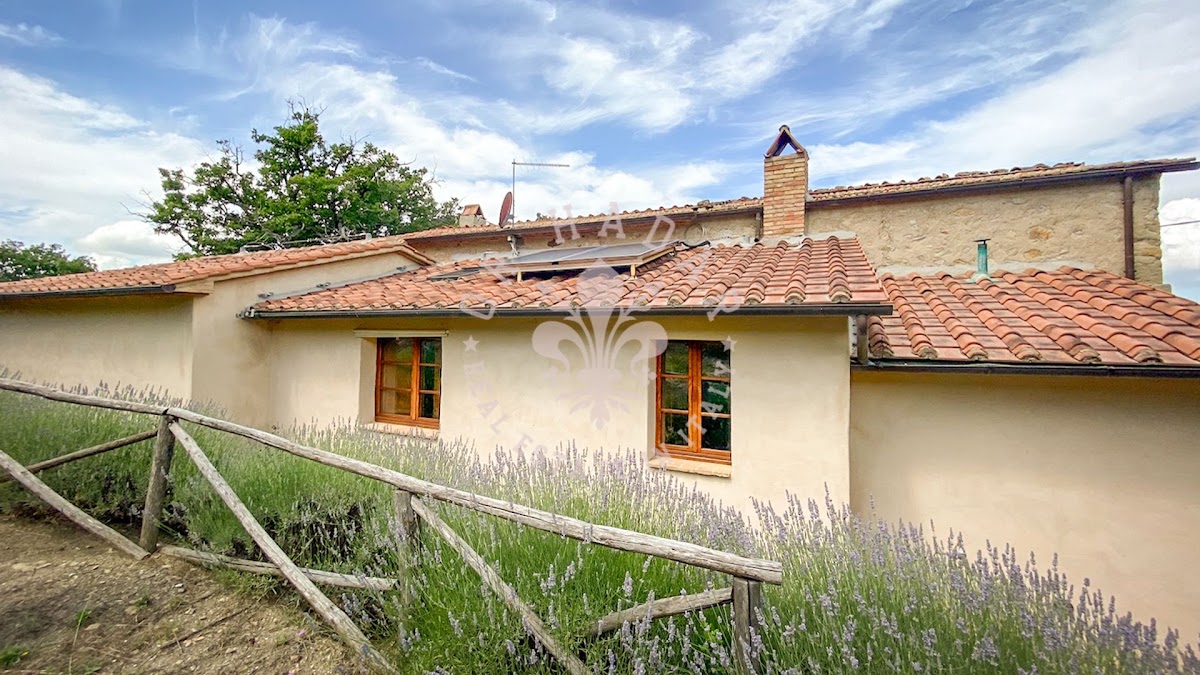 קסאל פוגיו רוזה (Casale Poggio Rosa) — 9