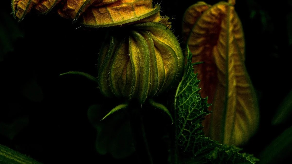 수면장애 비급여 항목별 의료비 절감 전략과 팁