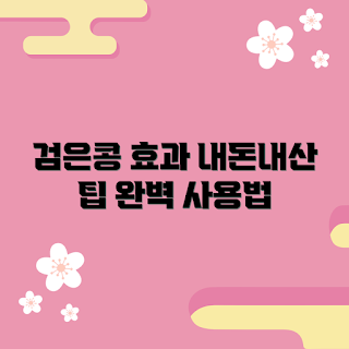 검은콩차 내돈내산, 검은콩차 효과, 건강 음료 추천, 2023 다이어트, 검은콩차 활용법