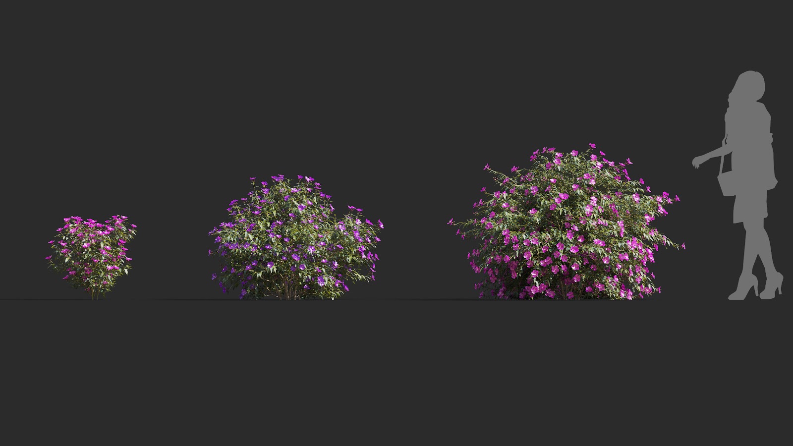 Maxtree - Plant Models Vol.72