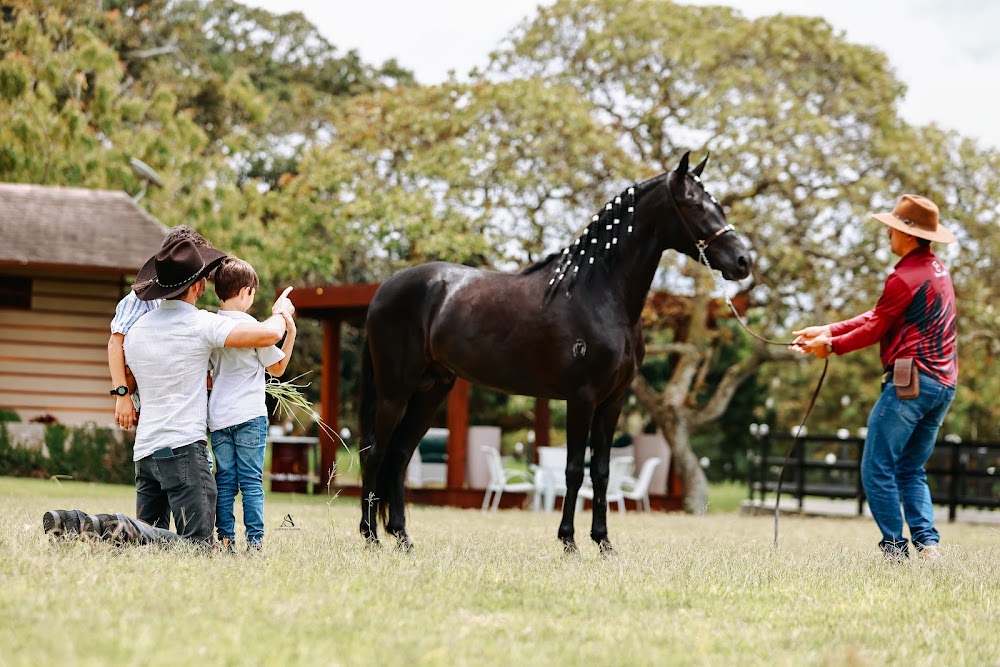 Haras Calúli