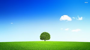 Nature Tree Wallpaper