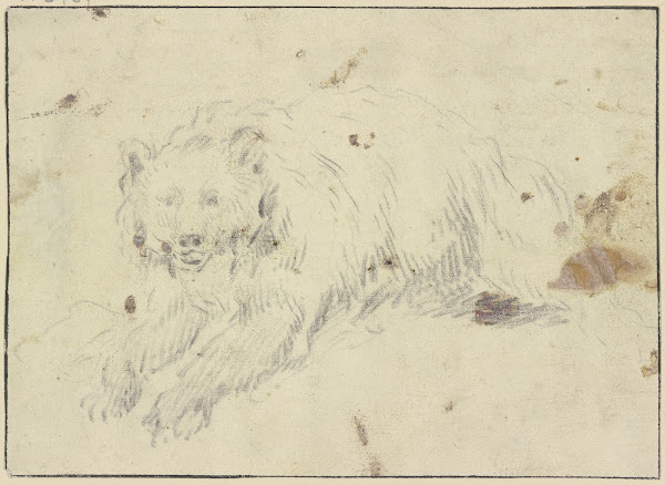 Lying bear to the left