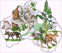 CMP TK246 Pattern