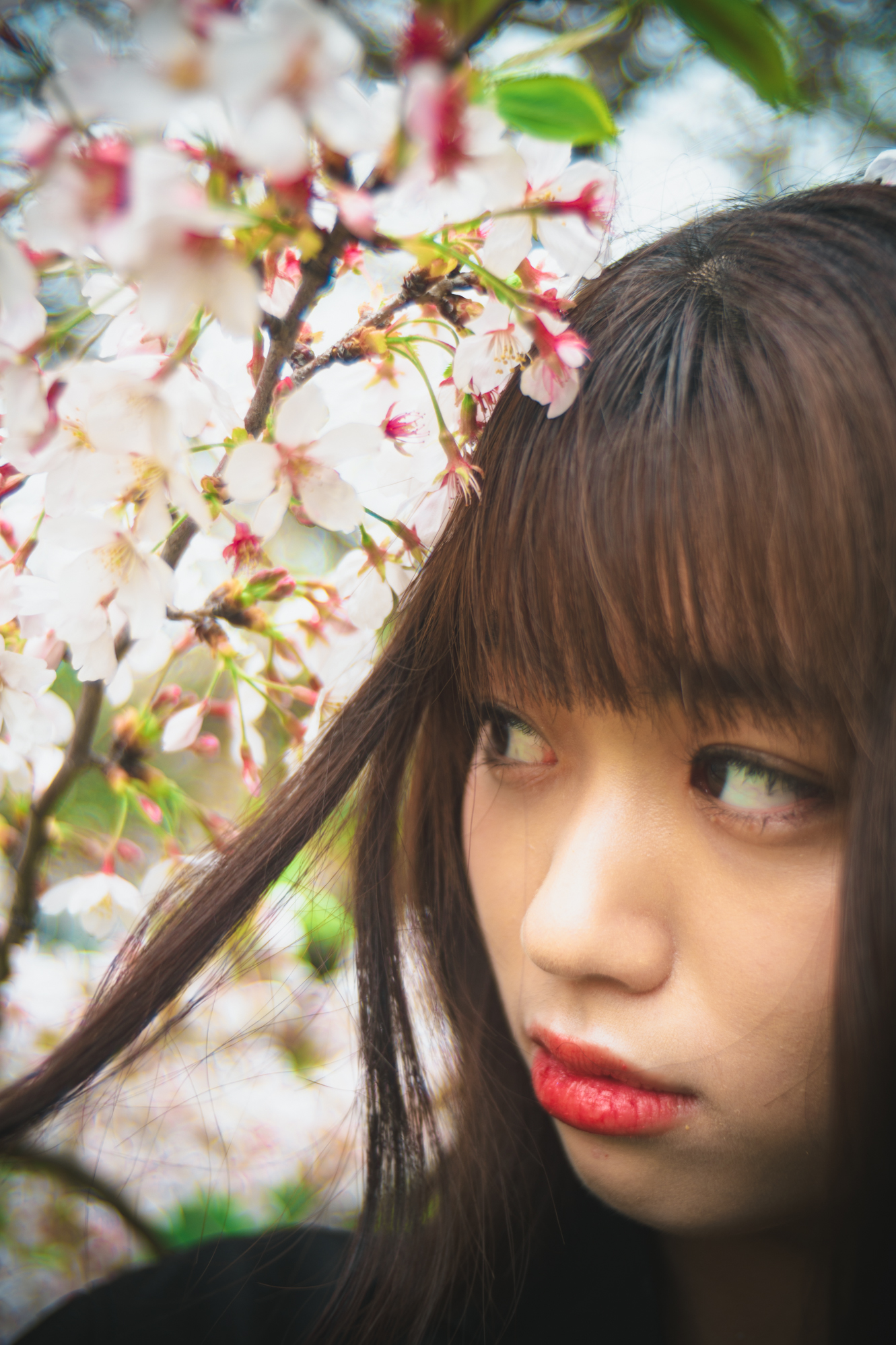 Portrait — Makino Shota