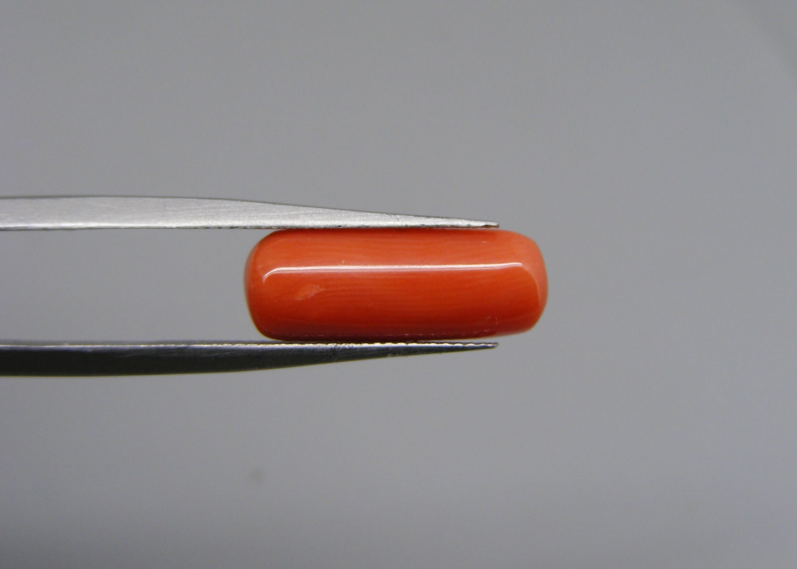 Natural Capsule Red Coral