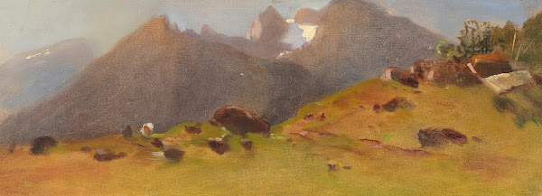 A mountain pasture