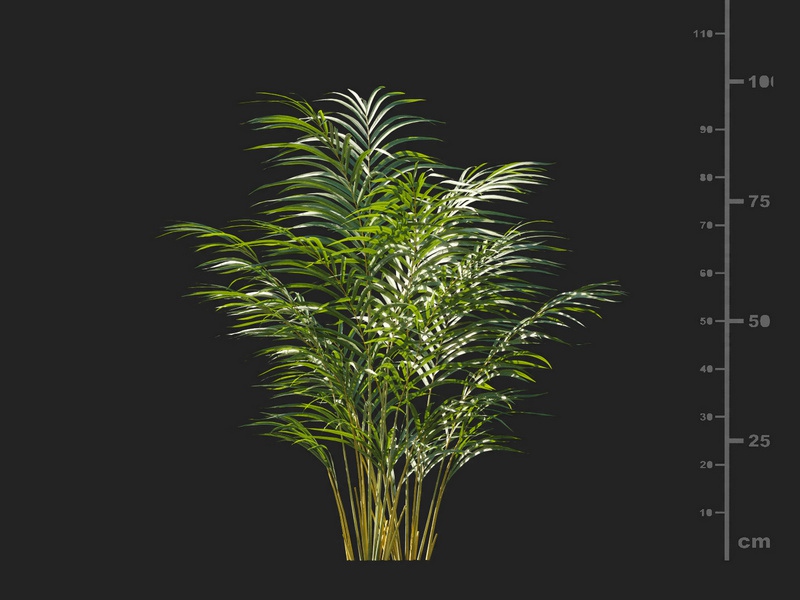 Maxtree - Plant Models Vol.127