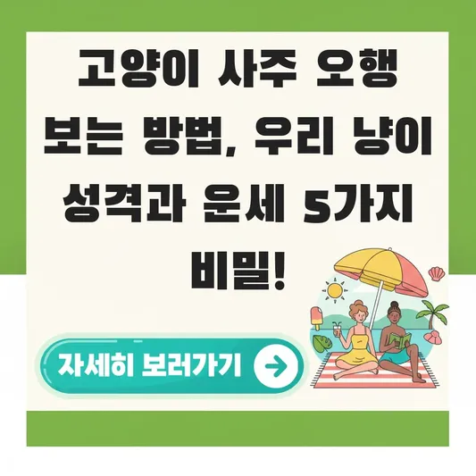 고양이 사주 오행 보는 방법