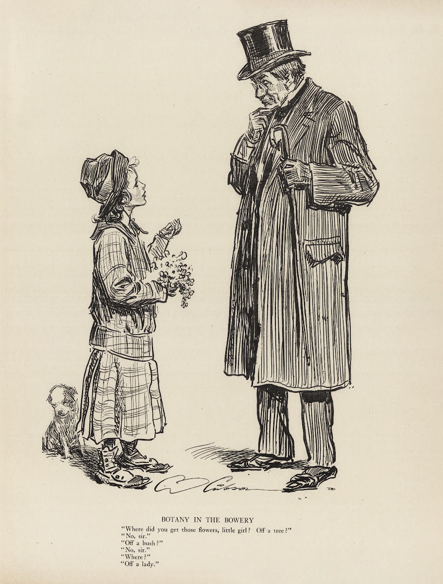 Botany in the bowery 1916