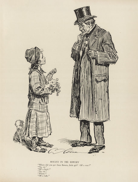 Botany in the bowery 1916