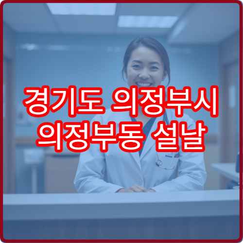 경기도 의정부시 의정부동 설날 명절 연휴 심야약국 의정부1·2·3동 시청역 근처 감기약 안내