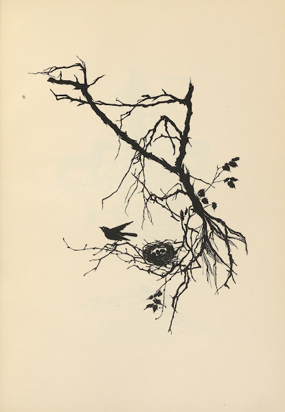 Von Steh Männchen und Gründlingen Pl06 1926