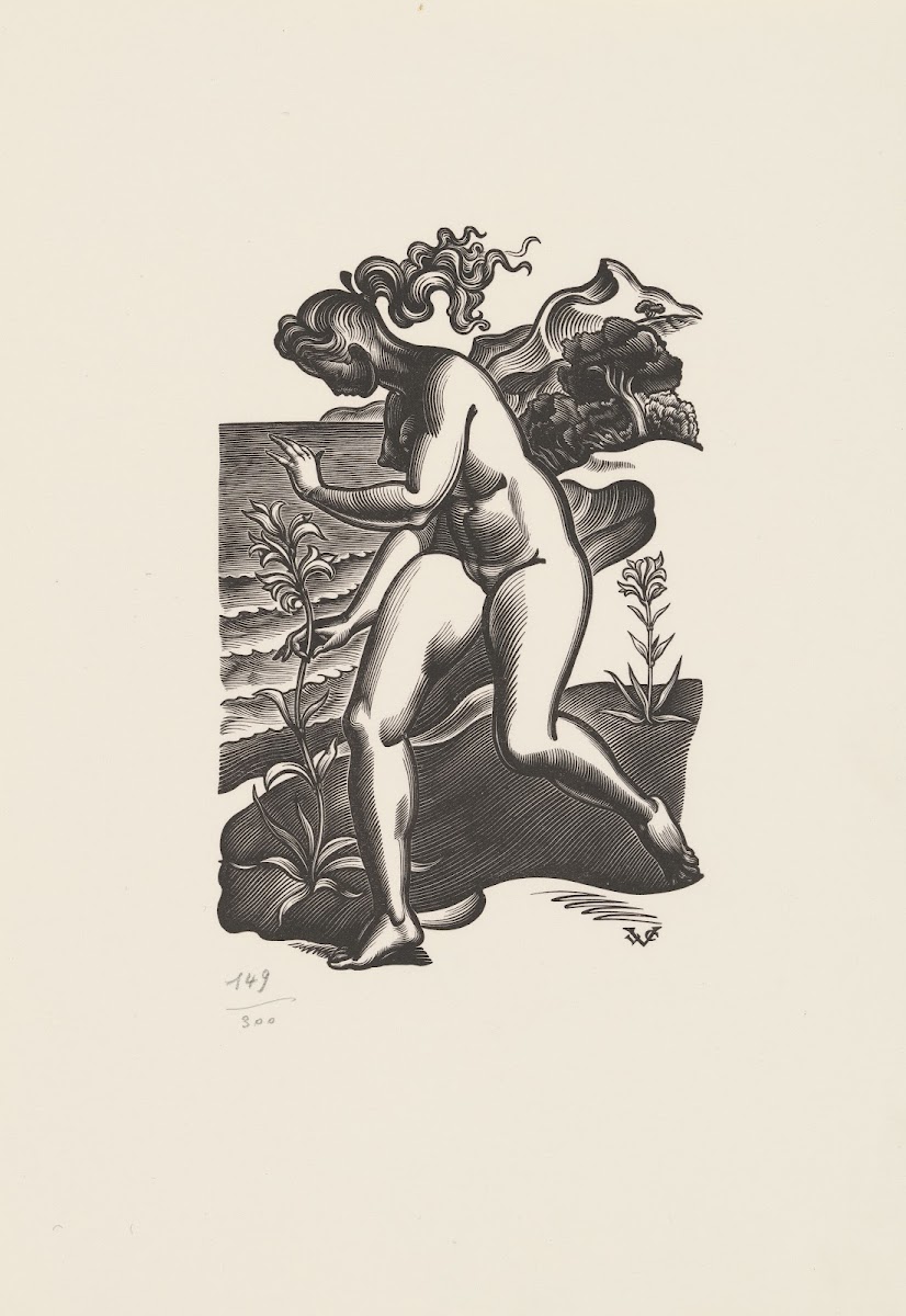Landscape with a naked woman 20th century