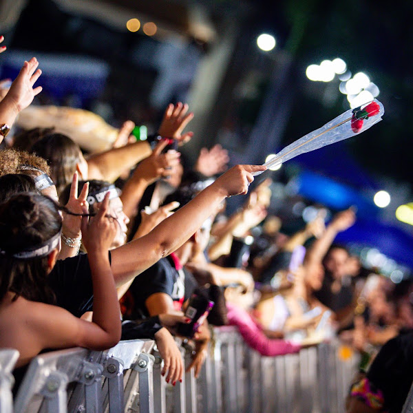 Imagem #8