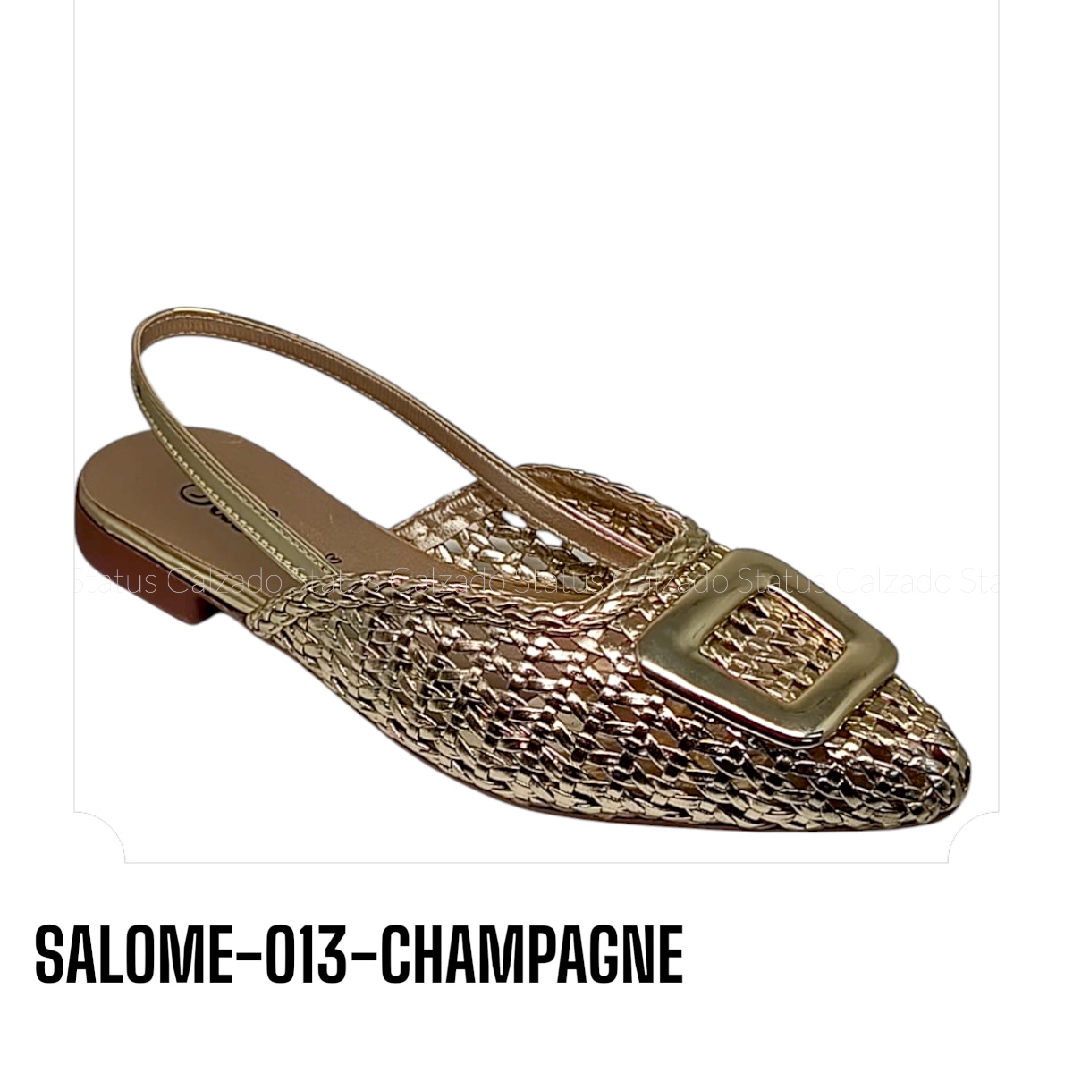 SALOME-O13-CHAMPAGNE