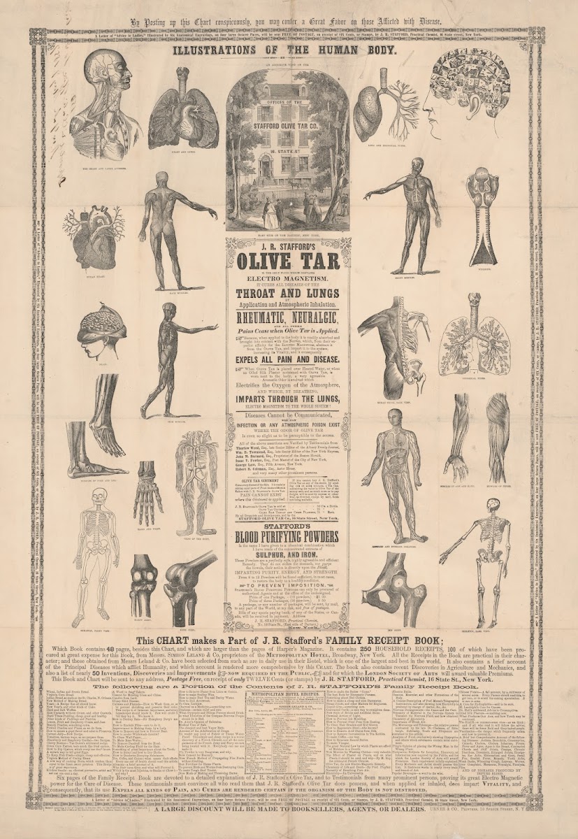 Illustrations of the human body 1857