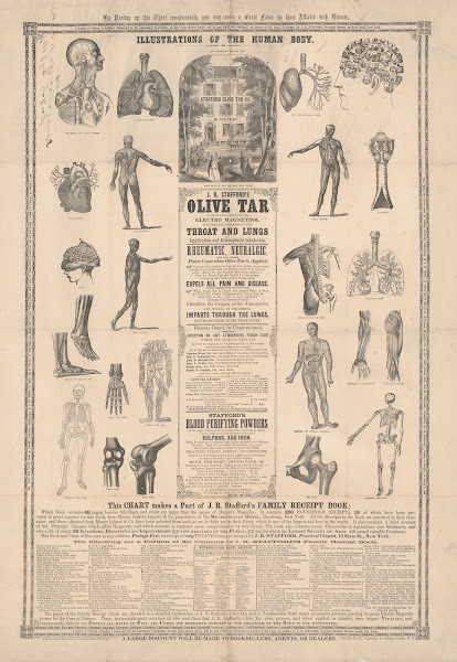 Illustrations of the human body 1857