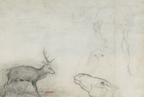 Studies of Animals verso