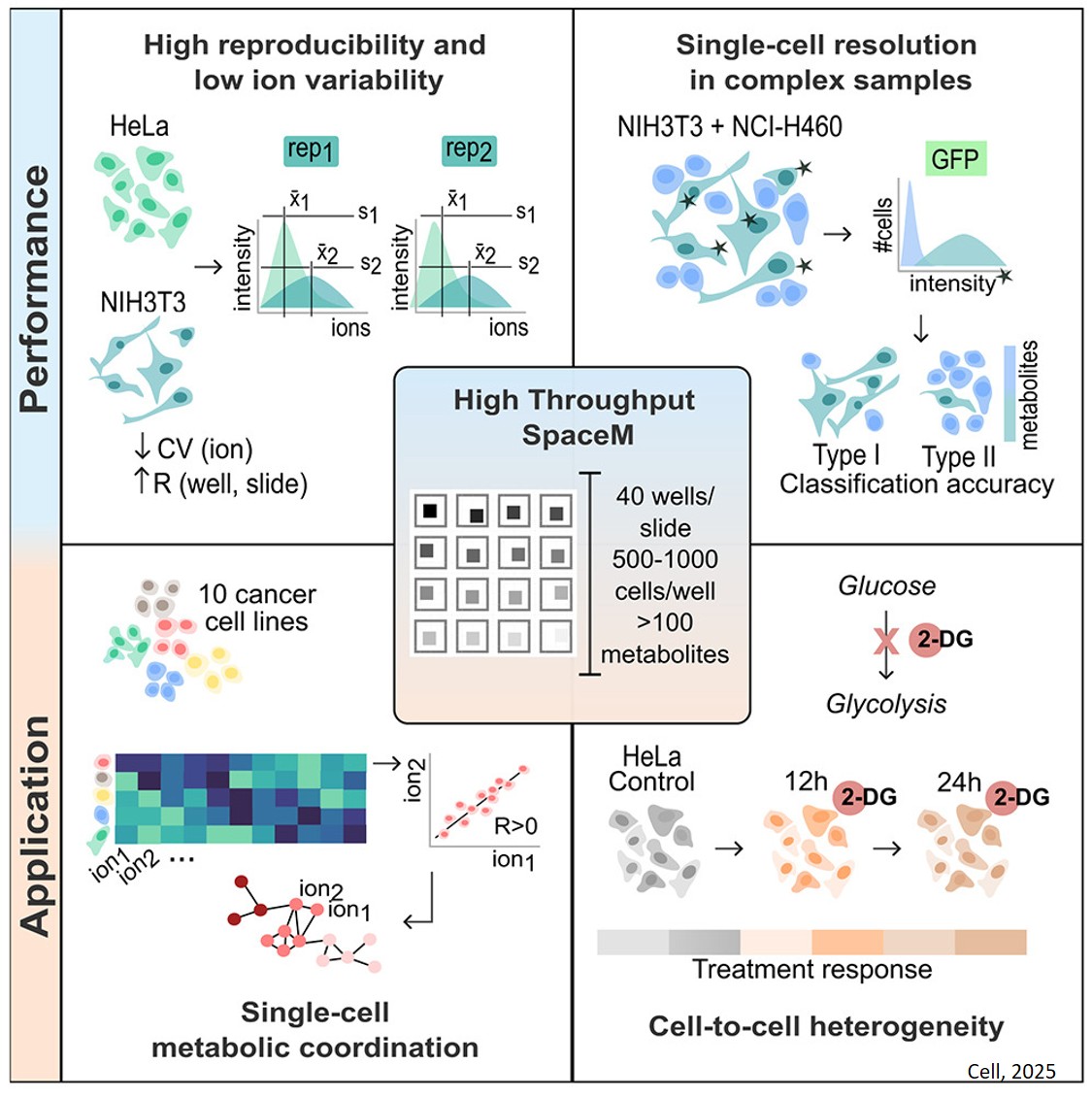 HT SpaceM: A high-throughput and reproducible method for small-molecule single-cell metabolomics
