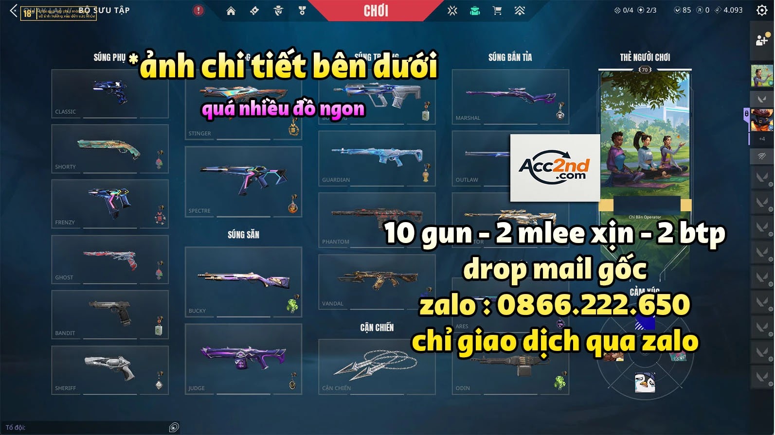 Account Preview