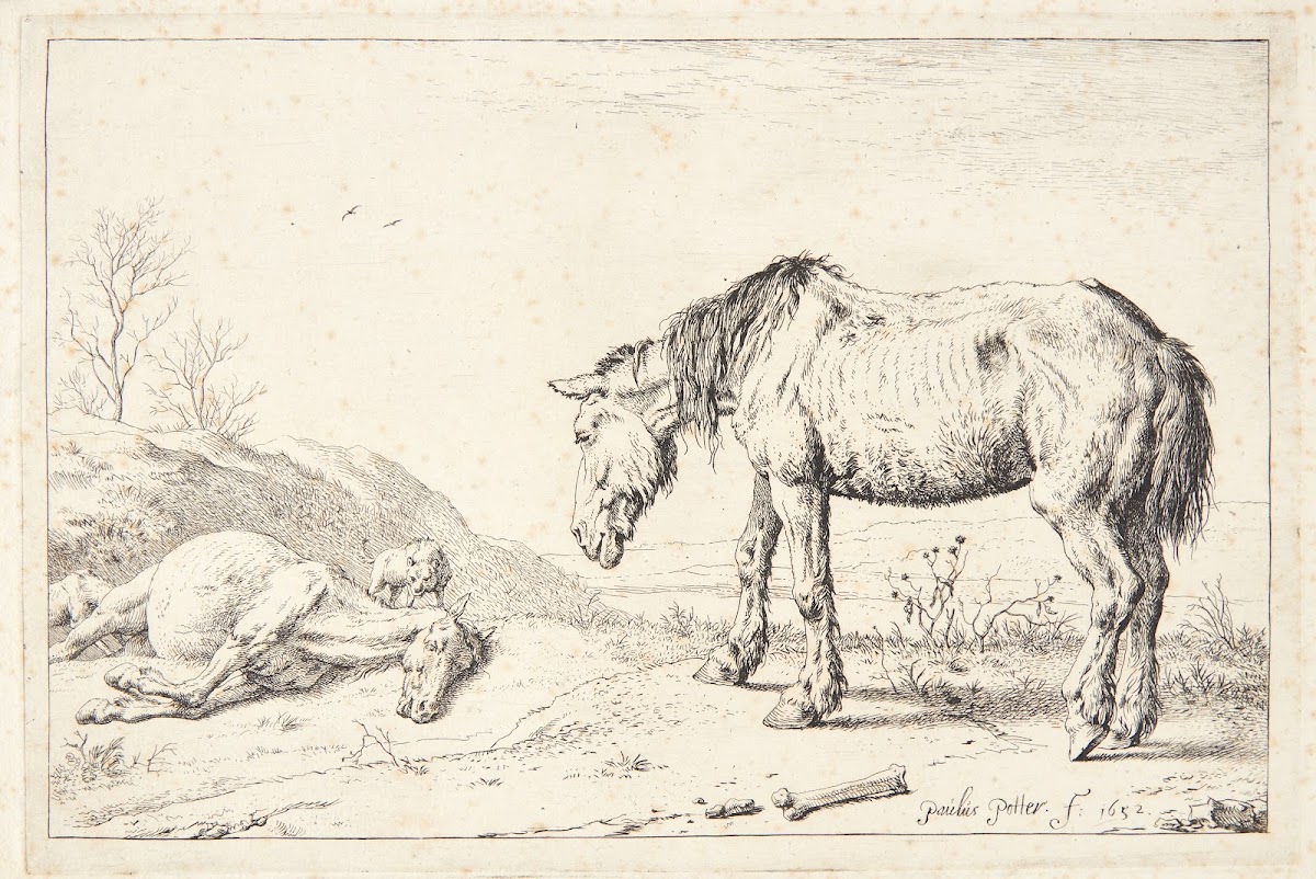 To øg 1652