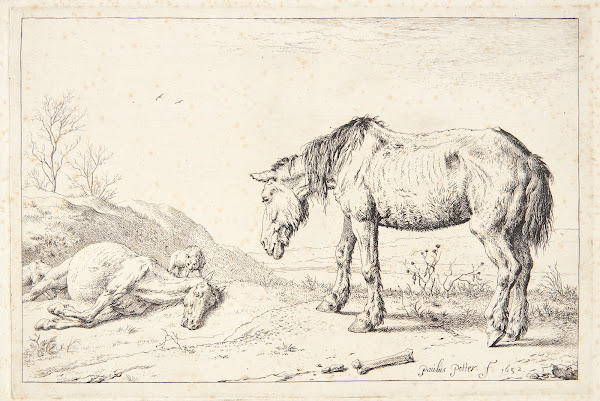 To øg 1652