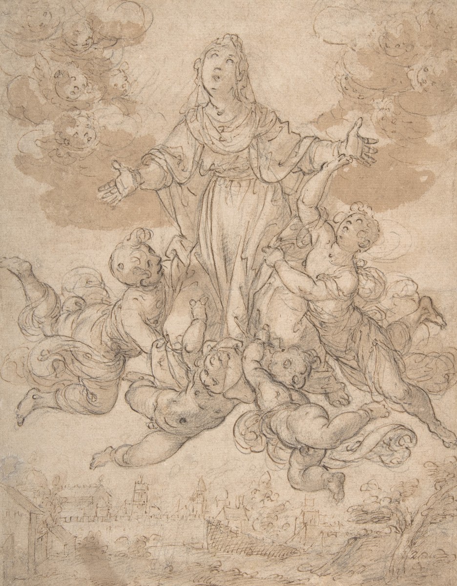 Virgin in Glory with Angels 15561622