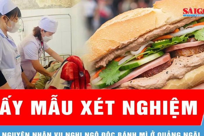 Lấy mẫu, xác minh nguyên nhân vụ nghi ngộ độc bánh mì ở Quảng Ngãi - Báo Sài Gòn Giải Phóng