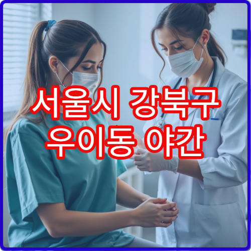 서울시 강북구 우이동 야간 이비인후과 알레르기·후두염 치료 병원