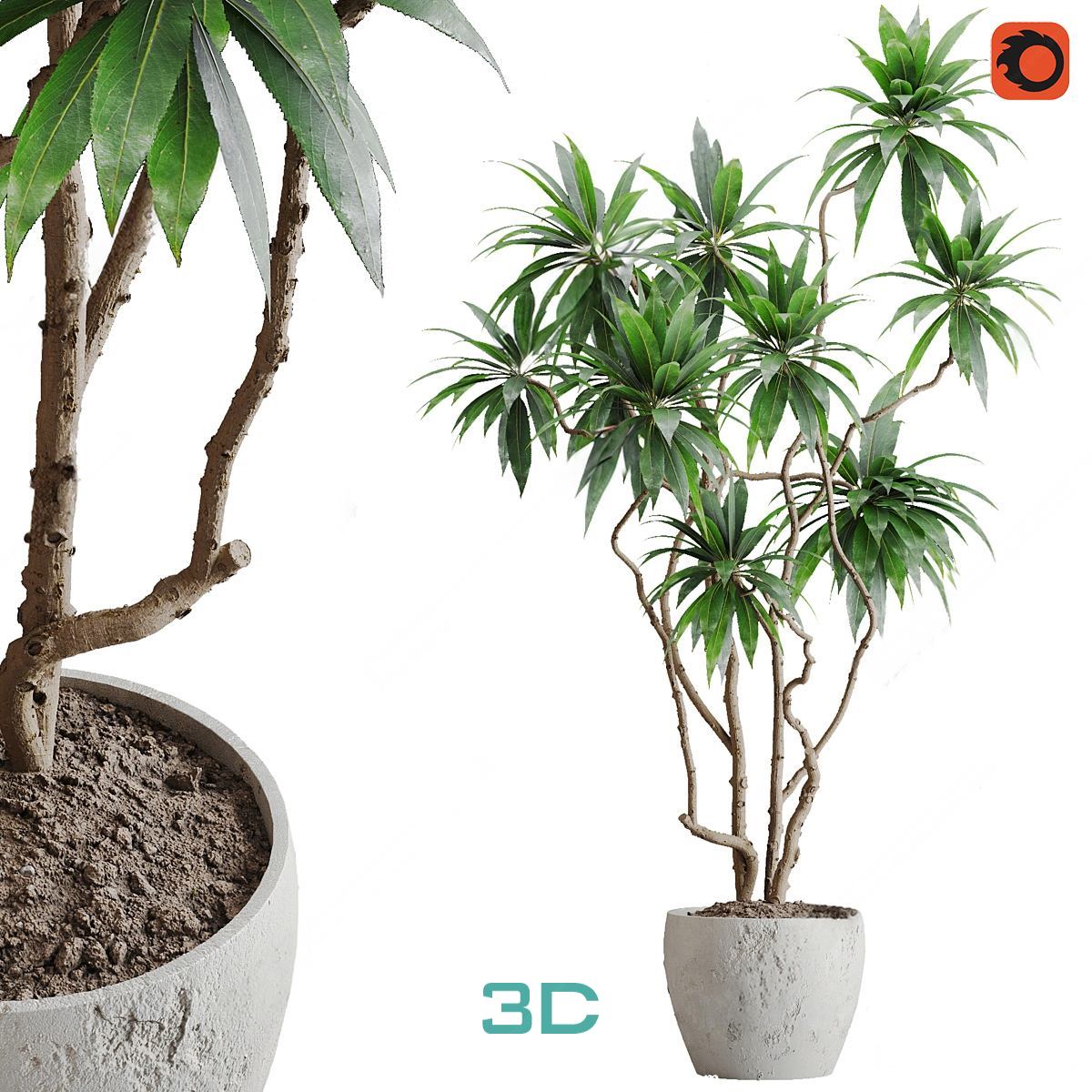 978.Sell Album Indoor Plant PRO Vol 01