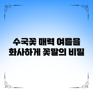 수국꽃말, 수국 의미, 여름 꽃, 꽃말의 매력, 수국 care