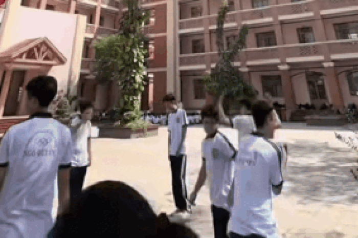 Giải cứu quả bóng mắc kẹt trên cây, nhóm nam sinh không ngờ được kết quả - Tạp chí SaoStar