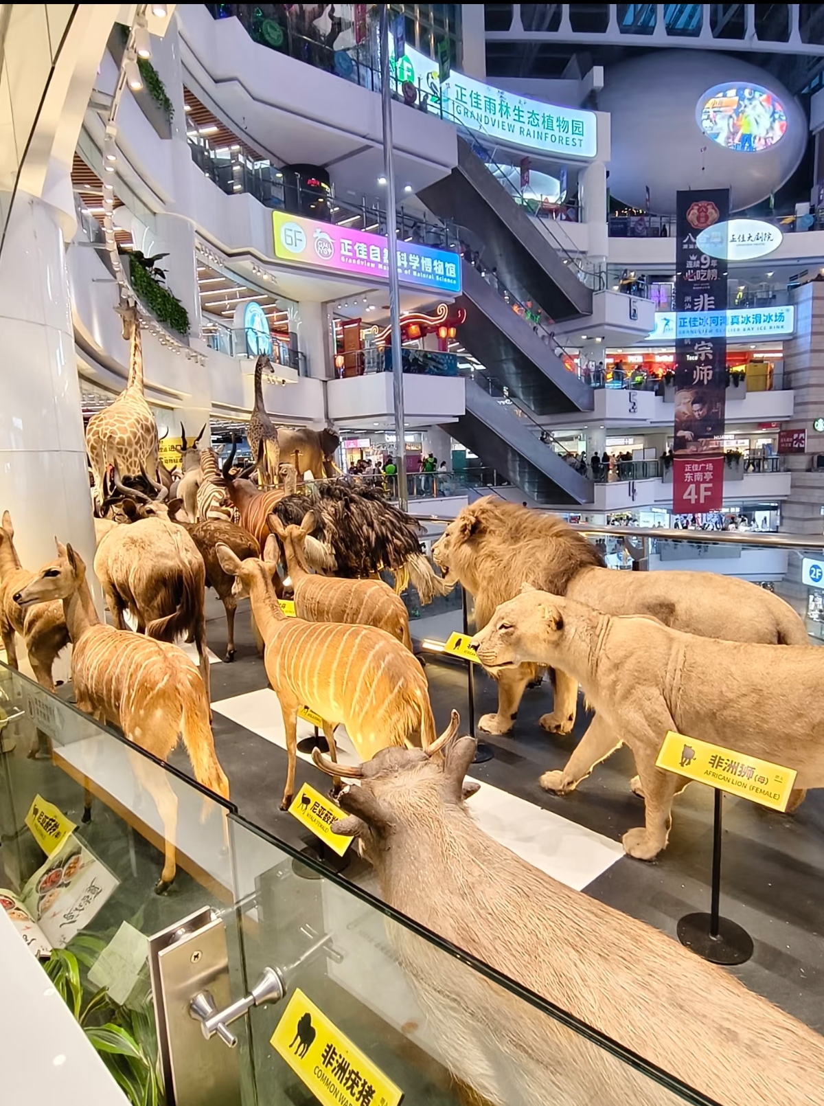 Shoppers browsing international sportswear brands at Taikoo Hui, Guangzhou