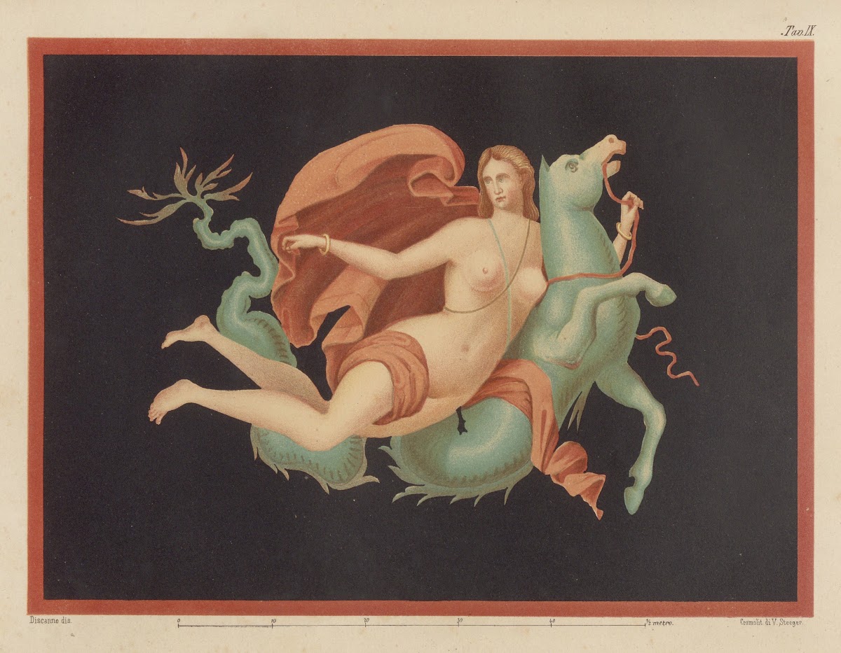 The most beautiful walls in Pompeii Pl18 1877