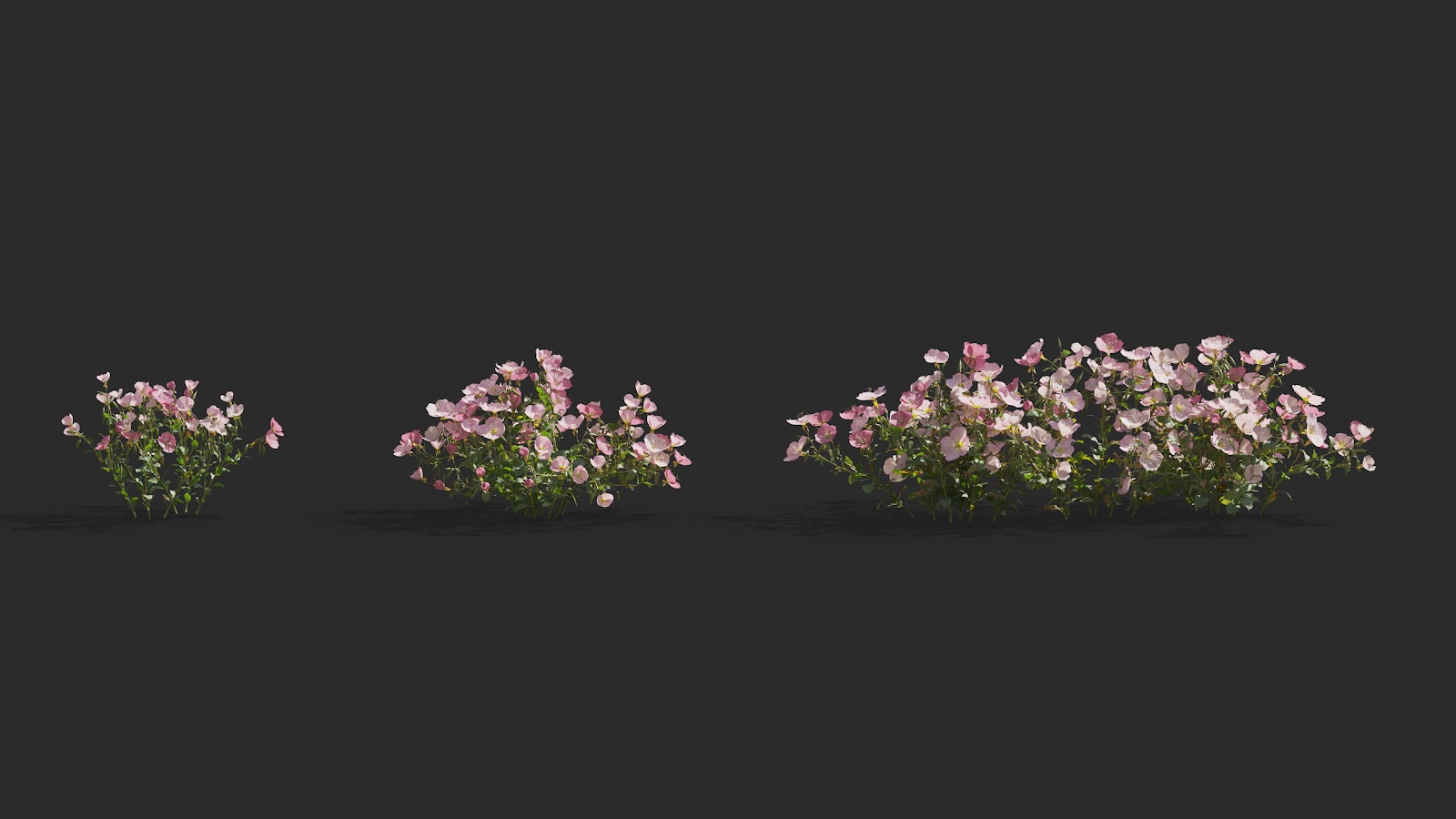 Maxtree - Plant Models Vol.64