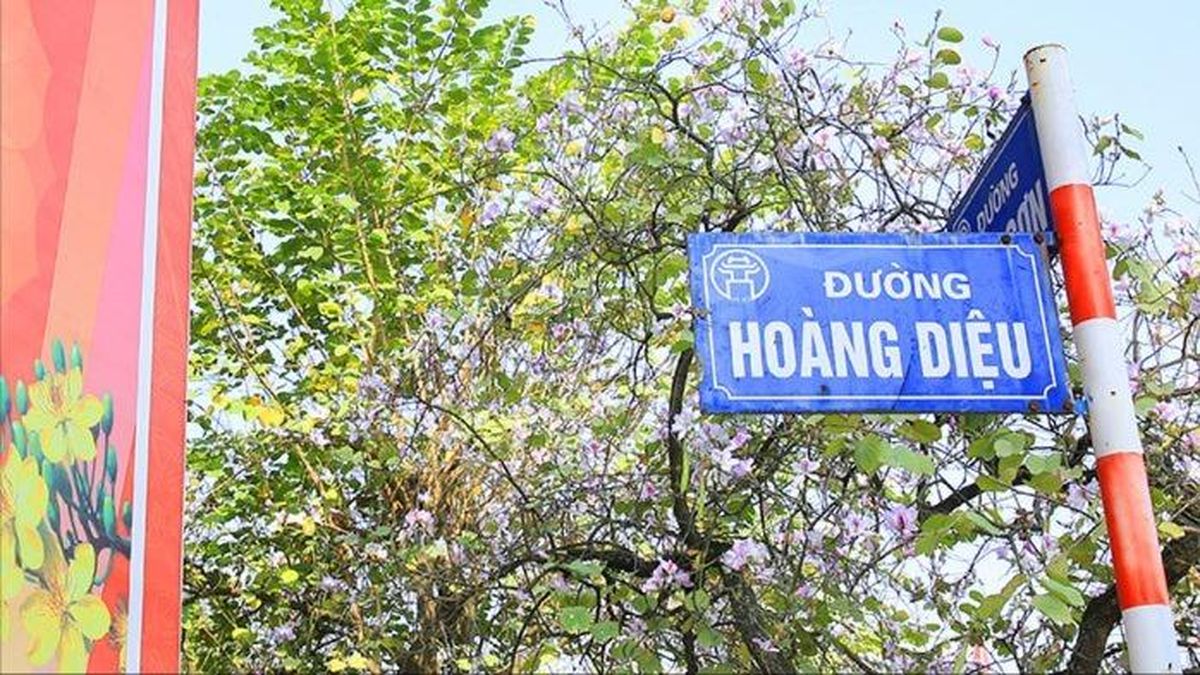 Phân luồng giao thông trên đường Hoàng Diệu từ ngày 26/7 - Đài Phát thanh và truyền hình Hà Nội