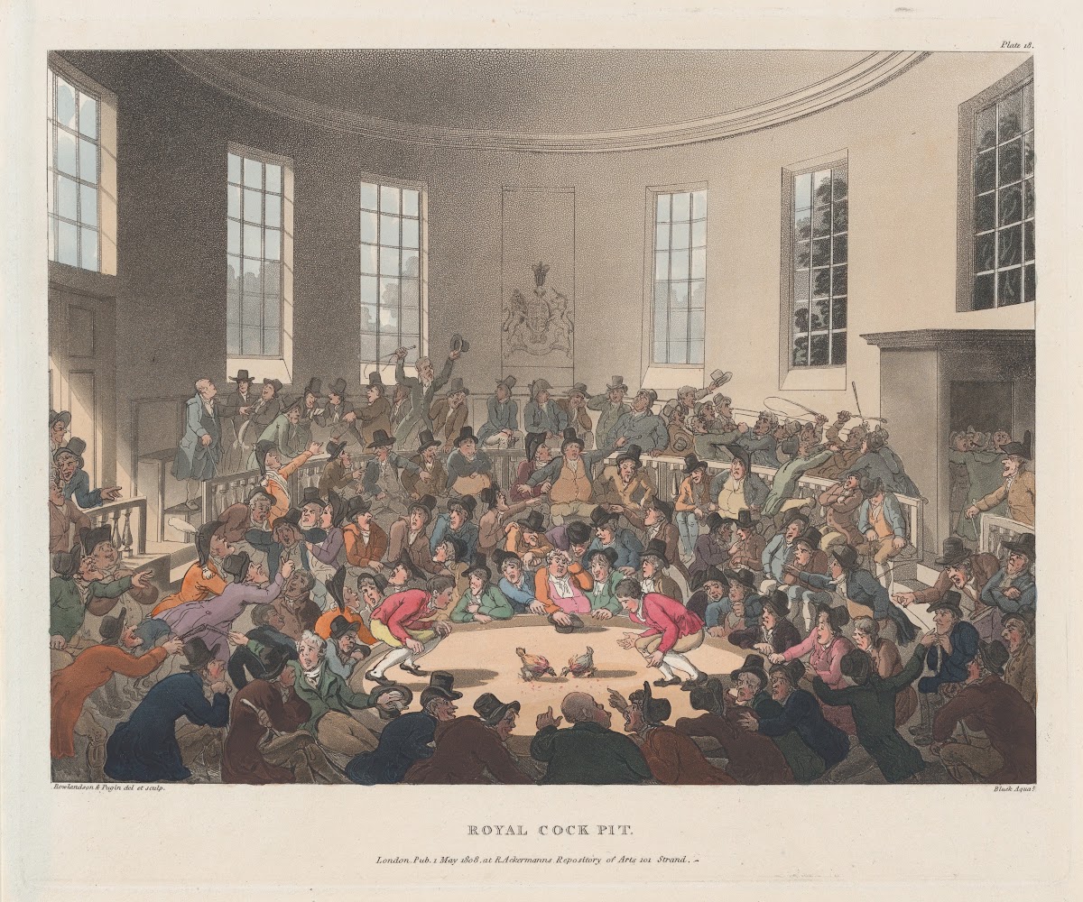 Royal Cockpit 1808