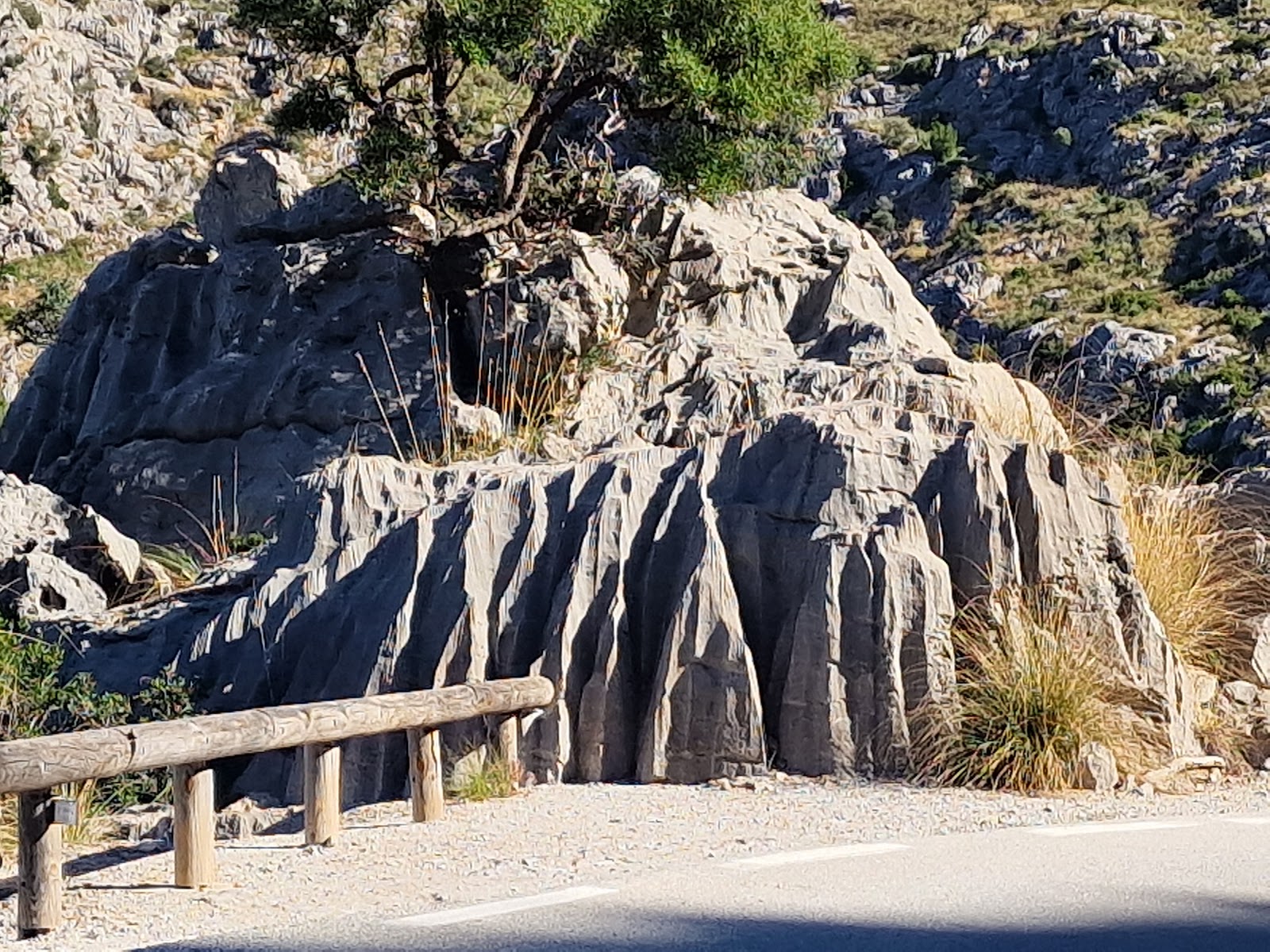 Photo de l’escale Palma