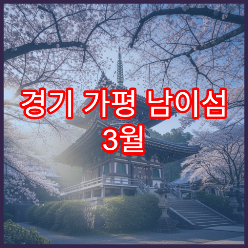 경기 가평 남이섬 3월 벚꽃 여행 서울 출발 당일치기