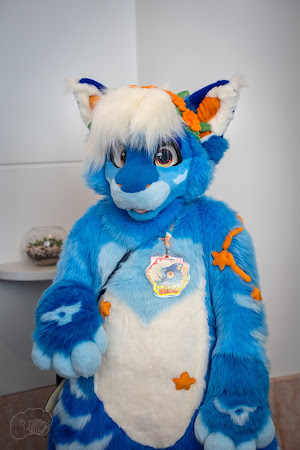 furdu-03795.jpg
