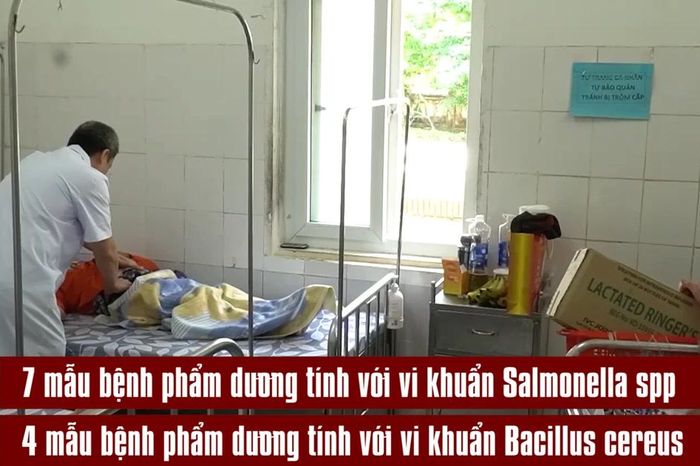 [Video] Phát hiện vi khuẩn Salmonella và Bacillus trong vụ ngộ độc bánh mì ở Quảng Trị - Báo Nhân Dân