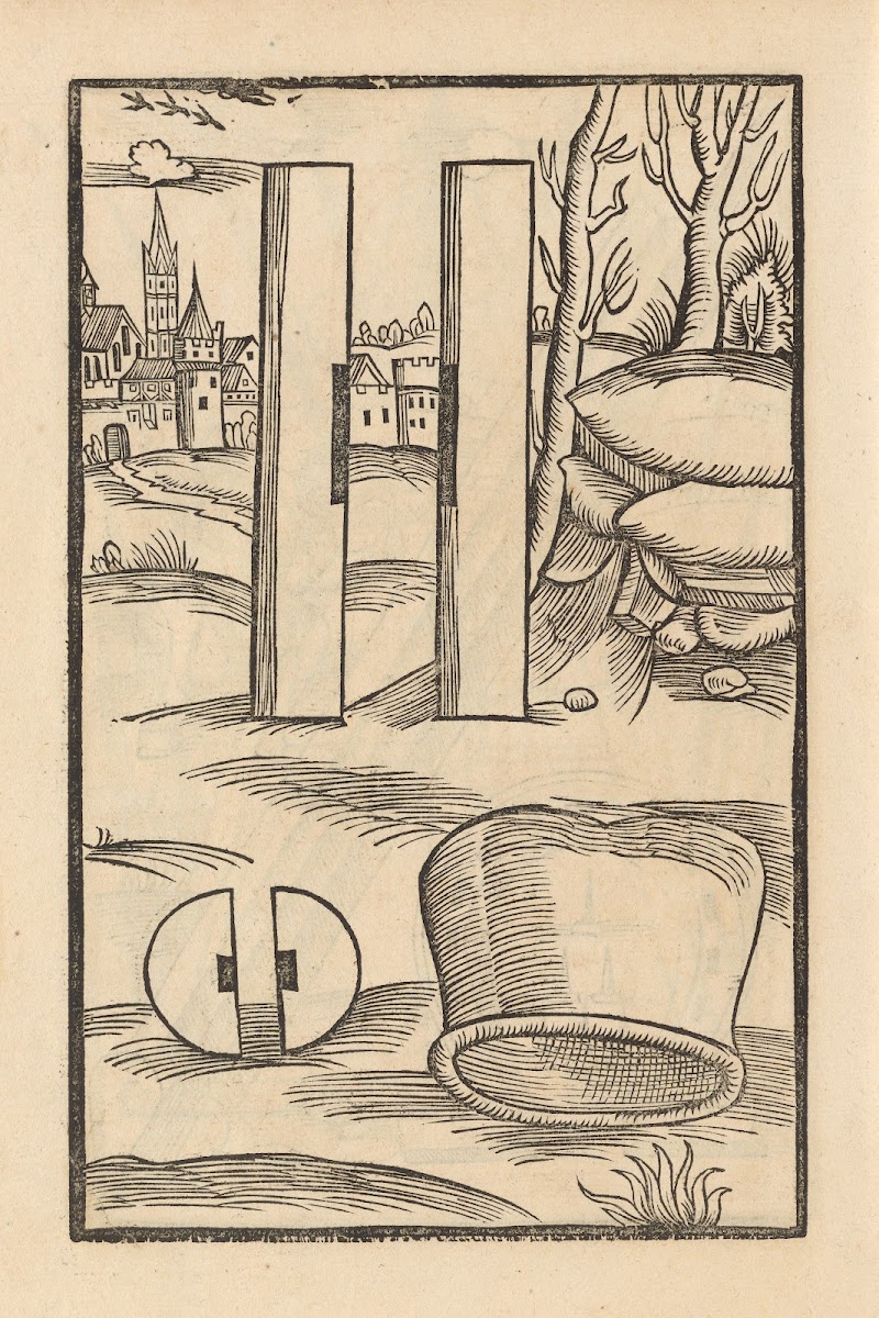 Vier Bücher der Ritterschafft Pl089 1529