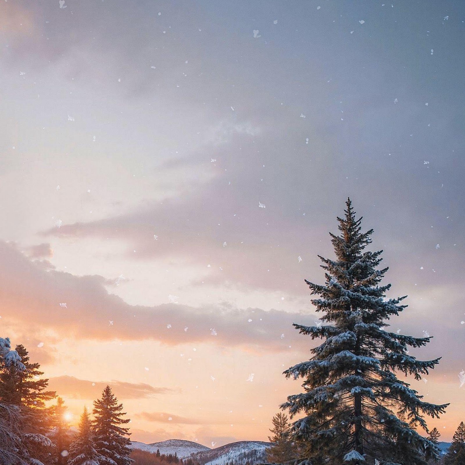 Download Snowy Pine Forest River Sunset 2K iPhone