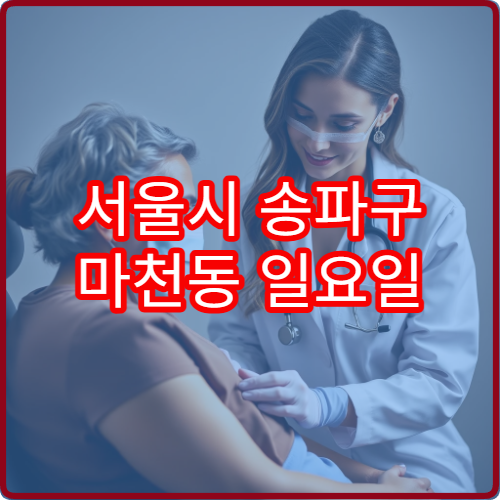 서울시 송파구 마천동 일요일 피부과 진료 병원 피부 트러블