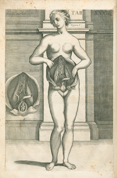 Tabulae anatomicae a celeberrimo pictore Petro Berretino Cortonensi Pl27 1741