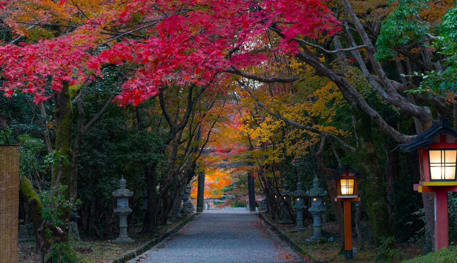 Japanese Garden Path In Autumn - Nature Photography 5K Wallpaper (5671x3270)